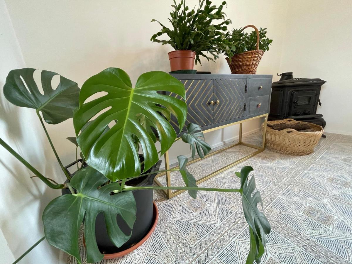 Sežana Cilka'S House, Authentic Homestay Near Lipica מראה חיצוני תמונה